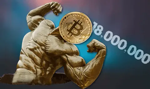 Bitcoin Payment Guide: How to Pay with Bitcoin on DaddyRoids
